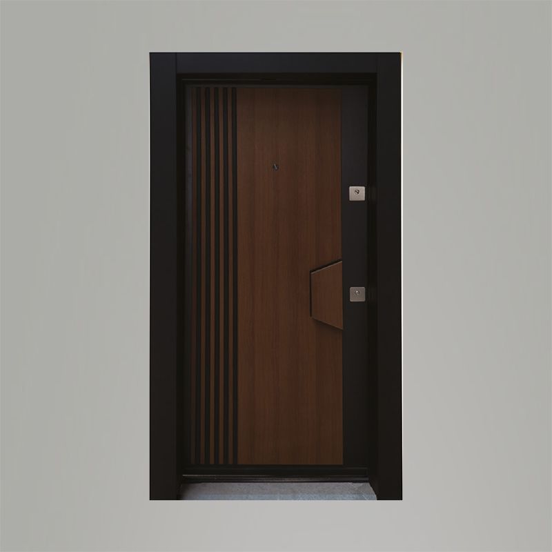 Tetradoor fabrikinin SD-3 model Mundo seriyası giriş qapısı