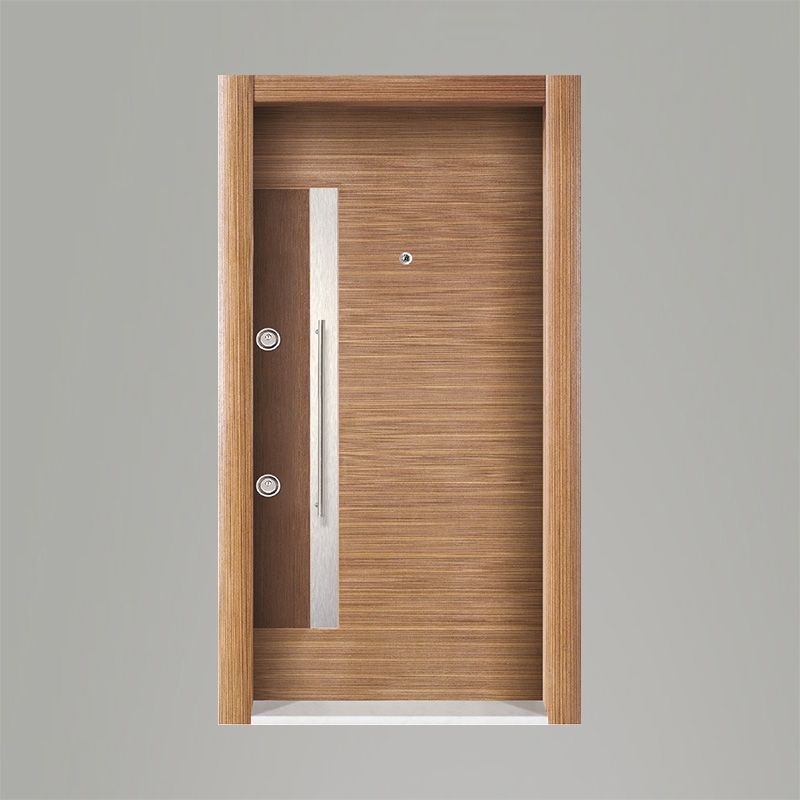Tetradoor fabrikinin AP-48 model Liano seriyası giriş qapısı