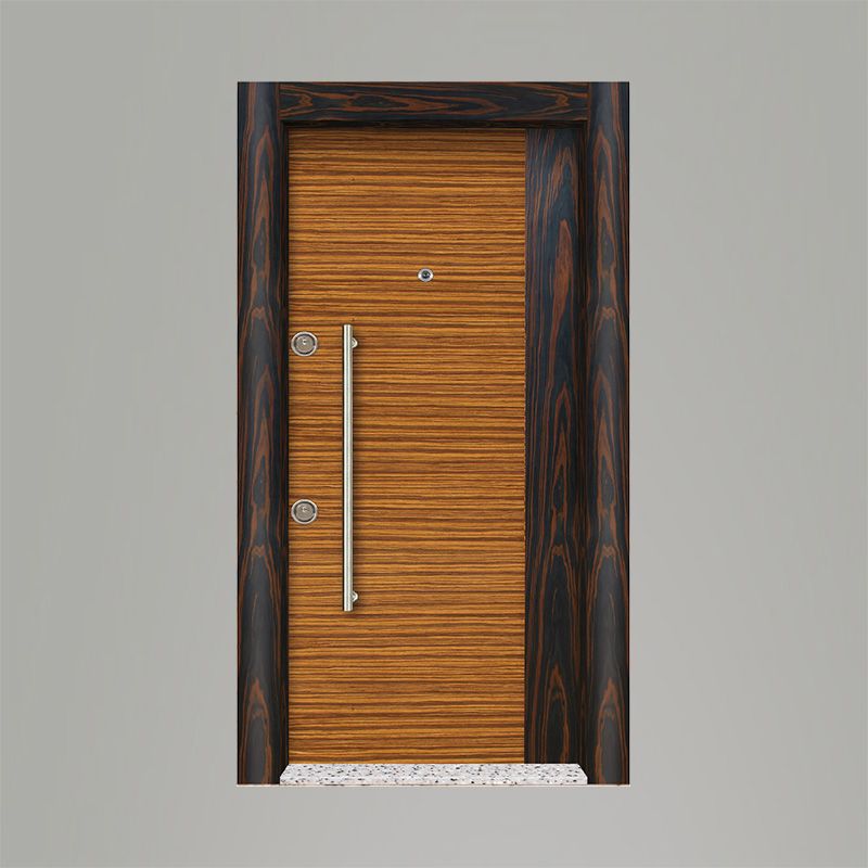 Tetradoor fabrikinin AP-49 model Liano seriyası giriş qapısı