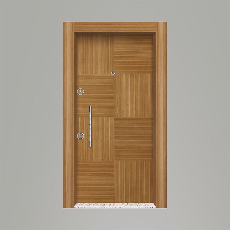 Tetradoor fabrikinin AP-53 model Liano seriyası giriş qapısı