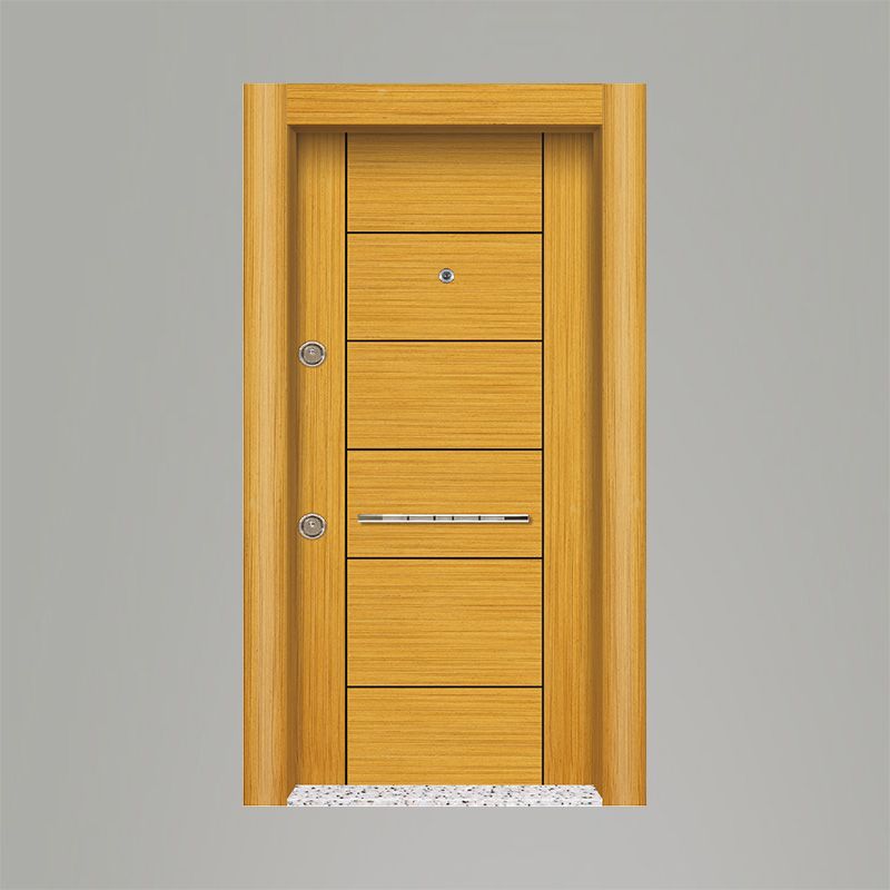 Tetradoor fabrikinin AP-55 model Liano seriyası giriş qapısı