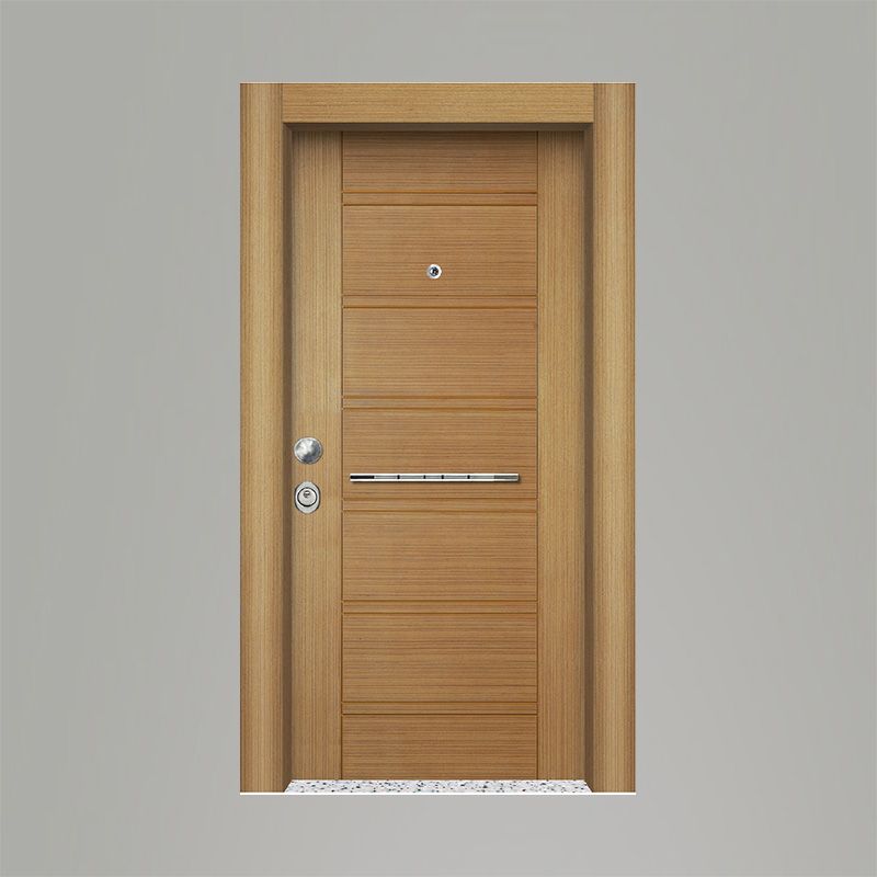 Tetradoor fabrikinin AP-56 model Liano seriyası giriş qapısı