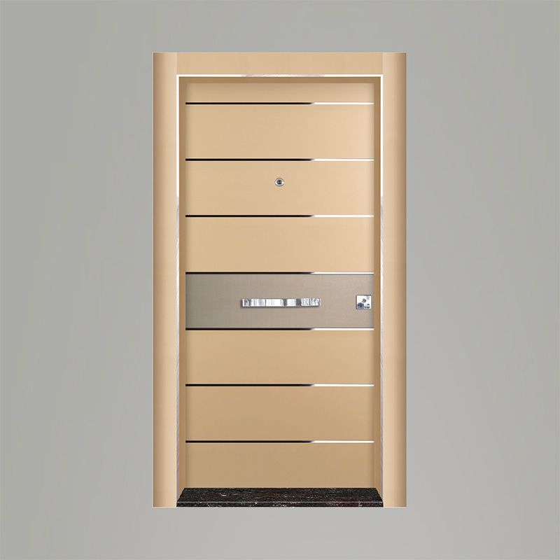 Tetradoor fabrikinin PK-73 model Labra seriyası giriş qapısı