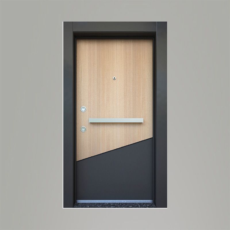 Tetradoor fabrikinin LPK-92 model Jasper seriyası giriş qapısı