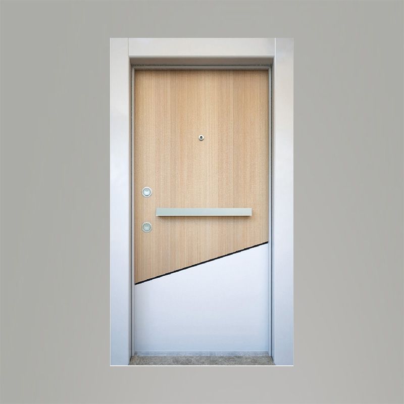 Tetradoor fabrikinin LPK-93 model Jasper seriyası giriş qapısı