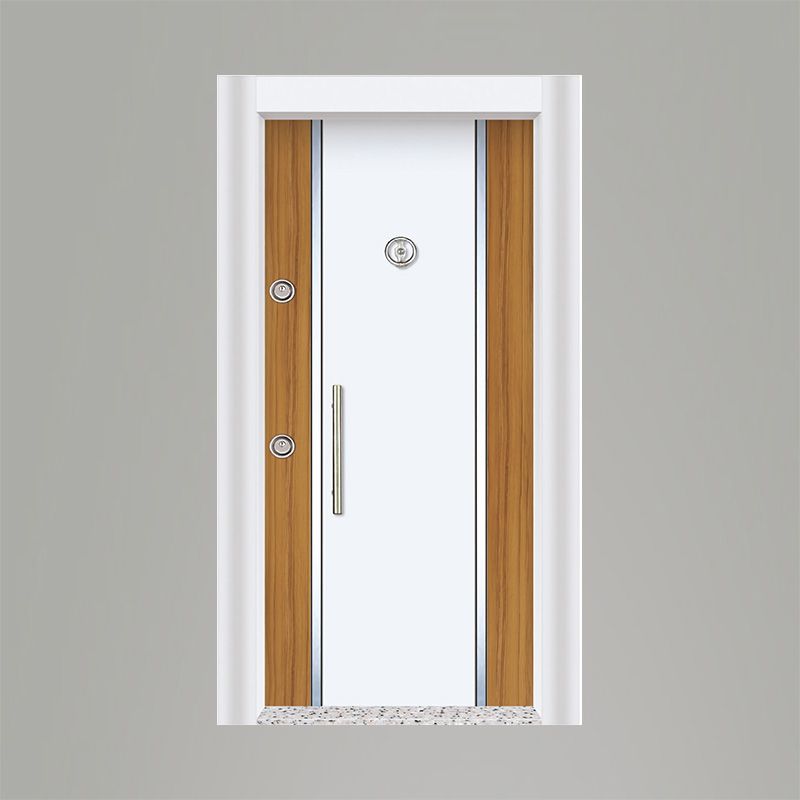 Tetradoor fabrikinin CLX-142 model Zenit seriyası giriş qapısı